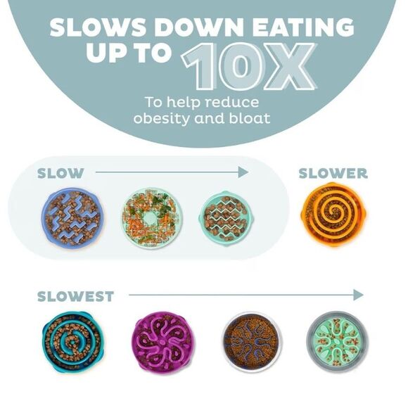 NWT Outward Hound Slo Bowl Sage Green LARGE Slow Feeder Anti Bloat Dog Bowl - Picture 9 of 10